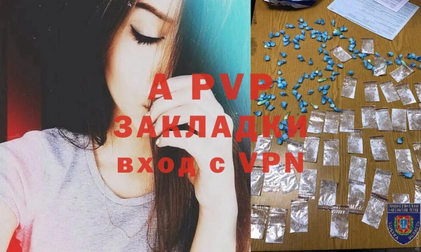 jwh Белокуриха