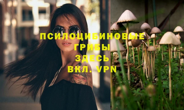 эйфоретик Богородицк